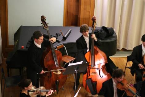 photo of double basses